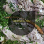 3대째 맛집···강태분 할머니묵집
