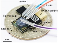 '브레인칩'으로 뇌 활동 다각도 분석한다