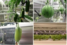 남극에서 수박 키우기···세종기지 세계 두번째 실내농장 운영