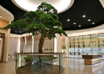 [대덕, 대덕人 ⑰] 온고지신(溫故知新)의 가치 실현 한의학연