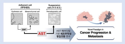혹부리영감처럼···암세포, 제거 어렵다면 동거할 수 있어야