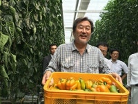 김무성 전 대표, 농촌의 미래, 첨단 농업에 달려 있다…농촌 체험 감동 전해