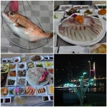 여수에서 즐기는 회 한점… 돌산회타운 맛집 군산횟집 전격 이전