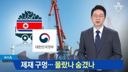 북한 석탄, 러시아산과 혼합될 우려 못했나...교묘한 둔갑술