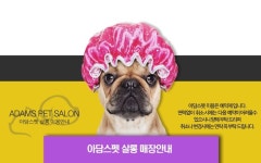 강아지분양 업체 아담스펫, 24시간 케어 서비스 보장 및 전국 지점 소개