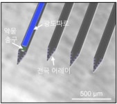 국내연구진, 초소형 ‘브레인칩’ 개발…뇌와 양방향 소통 가능
