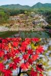 경기도 가볼만한곳 여주 ‘숲을그리다’, 단풍명소로도 각광
