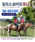 제주도 여행필수코스 ‘승마체험’, 아름다운 승마코스와 많은 마필을 보유한 제주 ‘알프스 승마장 포니’