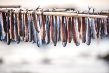 [음식효능]  겨울이 찾아 왔다…과메기 맛있게 먹는 Tip + 다양한 효능까지