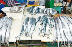 한여름의 통영에게