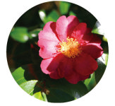 나는 지금, 여수