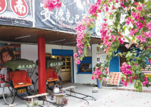 타이완 산골짜기  어느 느린 마을 이야기