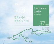 [프로방스 자전거 여행] 황토 마을과  체리 나무 사이로