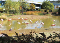 짱뚱어의 힘을 받아  순천을 걸어 볼까