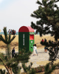 한가로운 도시의 나날, 울산