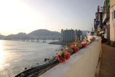 이게 바로 부산아입니까