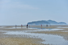 섬의 맛, 섬의 재미, 전남 영광군 송이도