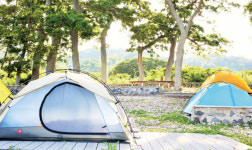 섬의 맛, 섬의 재미, 전남 영광군 송이도