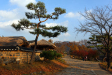 제천에서 건강하세요!