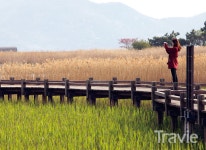 철새 따라  탄소발자국 따라  생태관광