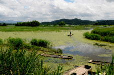 철새 따라  탄소발자국 따라  생태관광