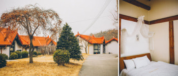 주말엔 강화도! 놀고, 먹고, 쉬는 여행