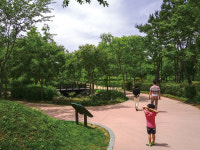 자연과 역사 발길 따라 뚜벅뚜벅 전남 산책