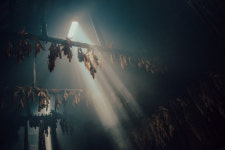 스키 리조트에는 눈이 없었지만, 블루마운틴