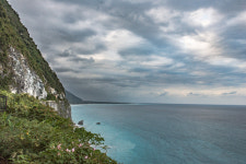 [타이완 레저 농장] 그들만의 아름다운 호흡