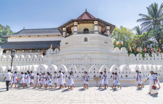 스리랑카 역사로드-고대왕국의 보물을 찾아서