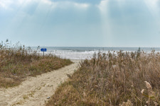 올여름엔 여기 어때? 우리가 찾던 언택트 섬 해변