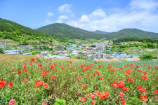 하늘,바다,산 모두 푸른 청산도