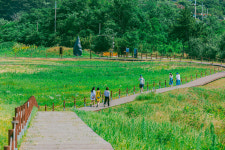 가족을 그리는 시간,  태안 매화둠벙마을