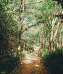 힐링이 필요할 때  잠시 멈춤, 서울 숲길 10