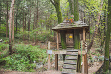 힐링이 필요할 때  잠시 멈춤, 서울 숲길 10