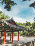 힐링이 필요할 때  잠시 멈춤, 서울 숲길 10