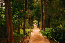 힐링이 필요할 때  잠시 멈춤, 서울 숲길 10