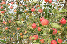 뿌리부터 맑았다,   장수 금강 첫물 뜬봉샘