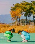 자연이 노닐고 넘실댄다,  곡성 안개마을