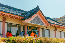 자연이 노닐고 넘실댄다,  곡성 안개마을