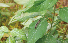 公에서 共으로 커먼즈의 현장