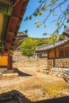 รูปภาพผลการค้นหา Naver 4
