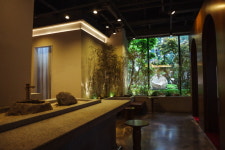 초록의 힘,  플랜테리어