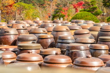 여름엔 숲으로,  강원도 한옥숙소 5