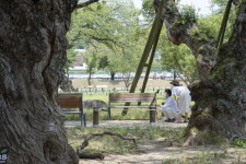 이제야  별나게 뜬 성주