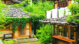 초록 숲과  파란 바다가  기다리는 곳,  강릉 숙소 5