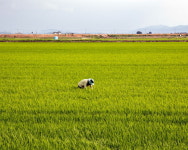 지평선에서  수평선까지,  만경강 라이딩
