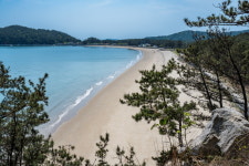 나의 오랜 친구들,  보령 섬 삼총사