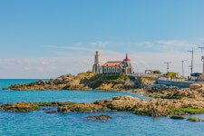 어느 날 파란색으로 물든 기장