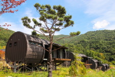 휴양하며 산삼 구경, 함양 힐링 여행
